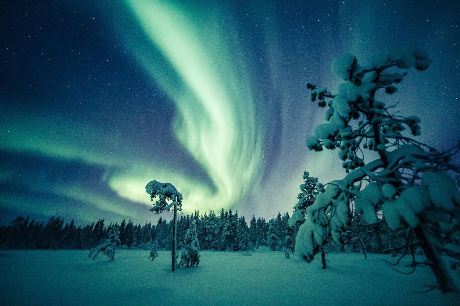 Scandinavia Northern Lights